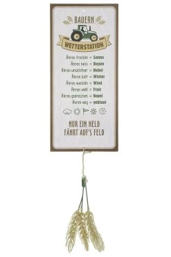 Gilde 46943 Alu Schild Wetterstation "Landluft" 30x14cm Inkl. Ähren